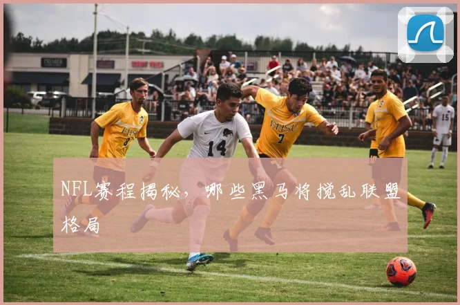 NFL赛程揭秘,哪些黑马将搅乱联盟格局