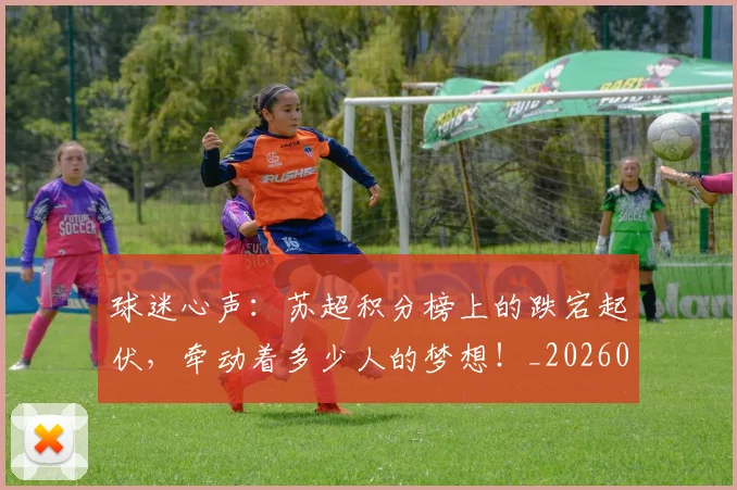 球迷心声:苏超积分榜上的跌宕起伏,牵动着多少人的梦想!_20260711200634_20260802160958