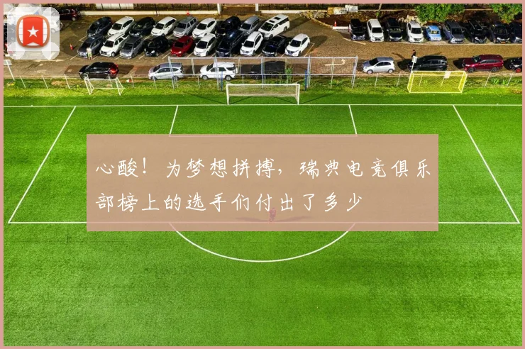 心酸!为梦想拼搏,瑞典电竞俱乐部榜上的选手们付出了多少