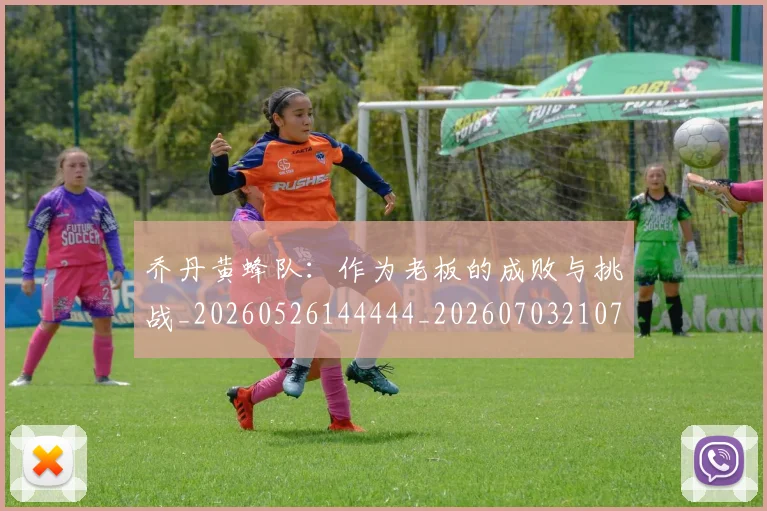 乔丹黄蜂队：作为老板的成败与挑战_20260526144444_20260703210710