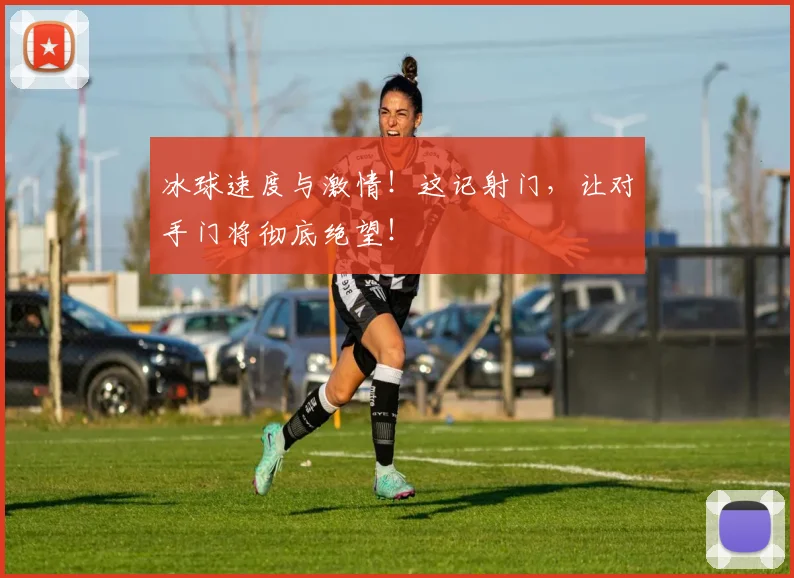 冰球速度与激情!这记射门,让对手门将彻底绝望!
